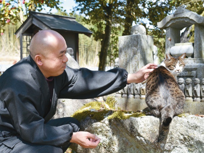 瑠璃寺HPブログでは時々、瀧本住職の猫愛が綴られている