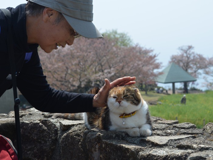 チャミは初対面の人にも動じない公園の人気者だ