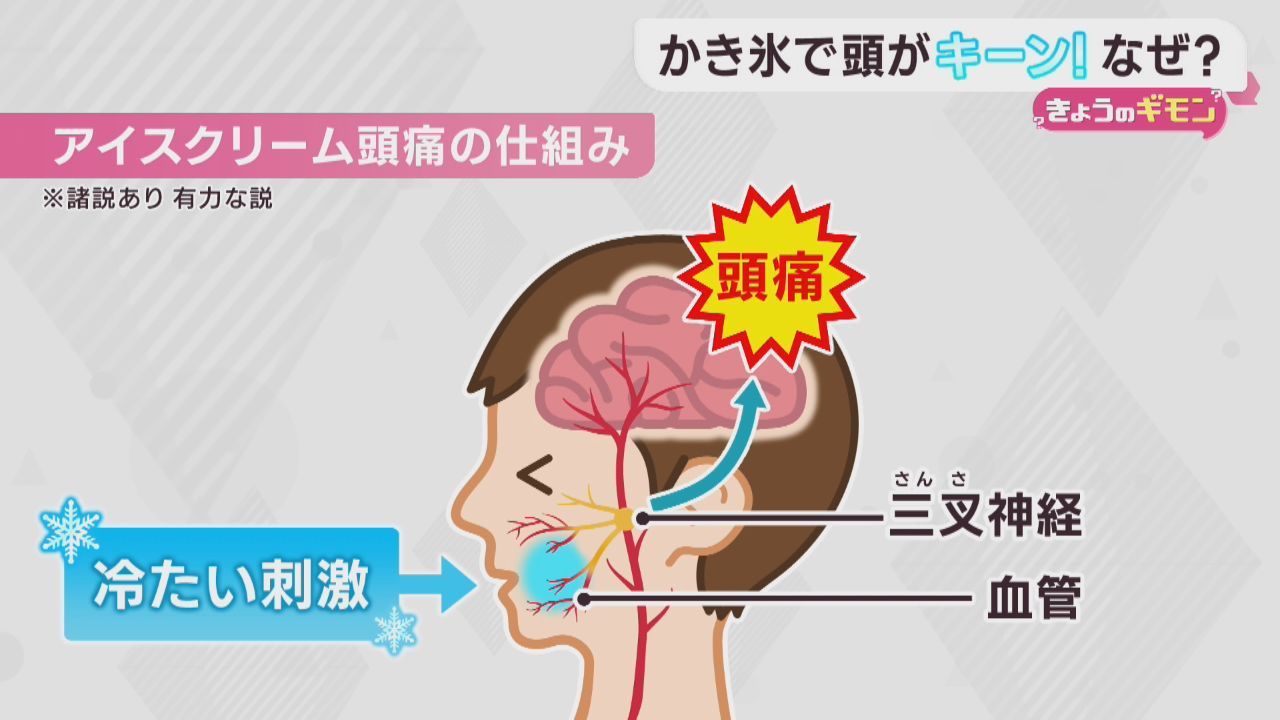 かき氷やアイスクリームを急いで食べると起きるアイスクリーム頭痛はなぜ起きる？