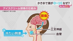 かき氷やアイスクリームを急いで食べると起きるアイスクリーム頭痛はなぜ起きる？