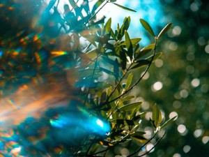 躁鬱を繰り返す彼、不眠に悩む私。「もういらない、別れて」と言われてから