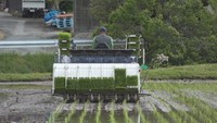岡山県北に田植えシーズン到来　新見市の農事組合法人が田植え開始