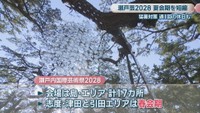 瀬戸内国際芸術祭2025の様子