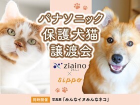 保護犬・猫が約350匹集まる日本最大級の譲渡会開催　４月29日、30日は有明へ