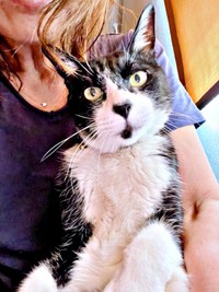 幸せな日々を過ごすこてつくん（画像提供：お母ちゃん こてつ ぜんさん）