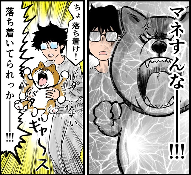 落ち着いてられっかー！（夢窓かずみさん提供）