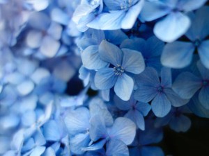 未練がないフリをして、履歴を消す。フリをする自分が本物になった