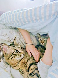 ママの布団の中でくつろぐ（手前）つむぎくん、（後ろ）ふうかちゃん（画像提供：すずつむふうさん）