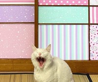 なんとも悔しそうな表情に見えますね！(絵子猫さんTwitterより)