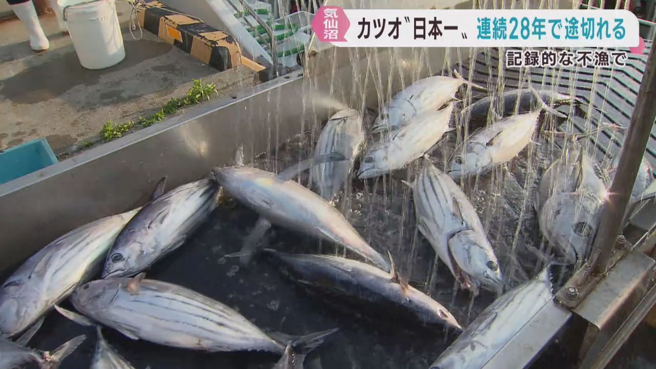 生鮮カツオ水揚げ日本一　２８年連続で記録が途切れることが確実に　宮城・気仙沼市