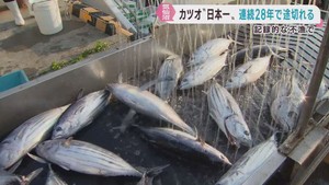 生鮮カツオ水揚げ日本一　２８年連続で記録が途切れることが確実に　宮城・気仙沼市