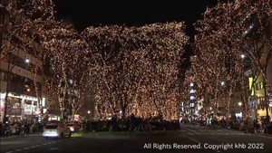 杜の都の冬を彩る　ＳＥＮＤＡＩ光のページェント開幕