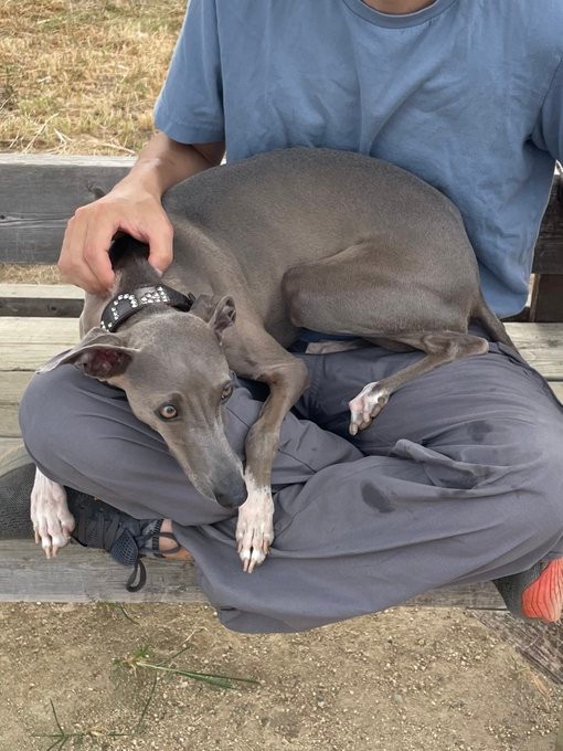 パパを独占するプットくん（画像提供：プットさん）