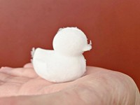 スノーボールメーカーで作ったアヒル（画像提供：mococoさん）