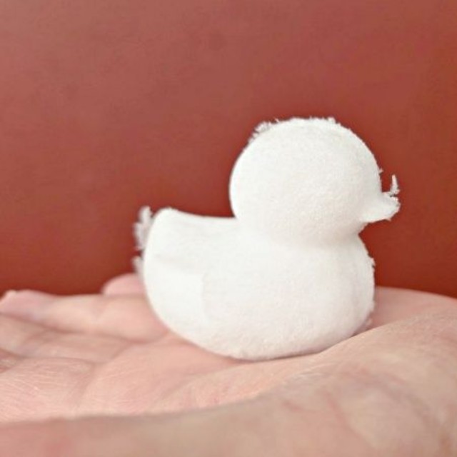 スノーボールメーカーで作ったアヒル（画像提供：mococoさん）