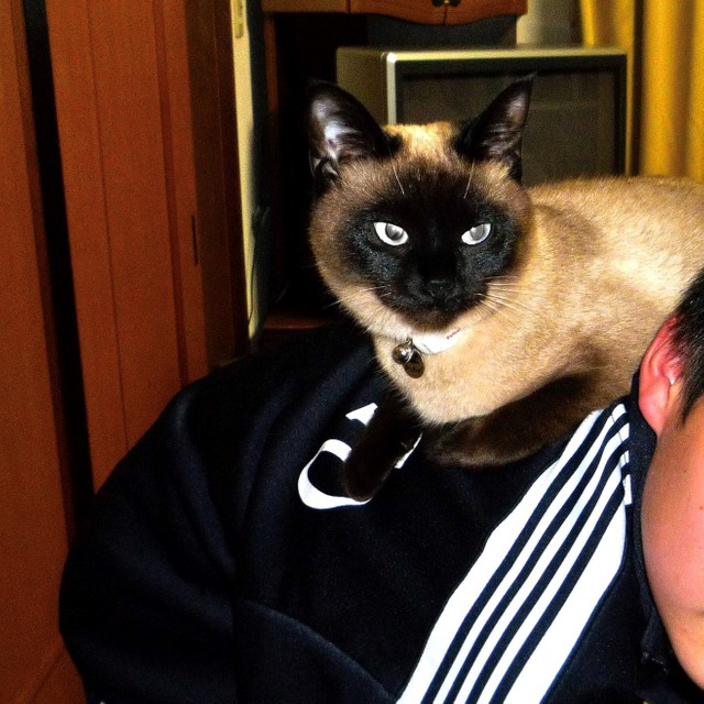 仲良しの次男くんの背中に乗るミカちゃん