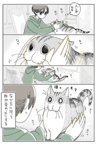 【漫画】「なでると形が変わるネコ」（提供：キュルZさん）