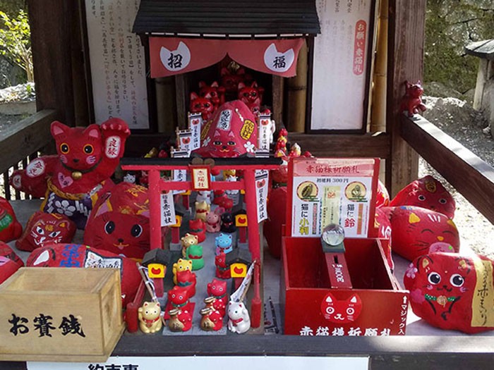 赤猫社に奉納された招き猫たち。眺めているだけで幸せになれそう