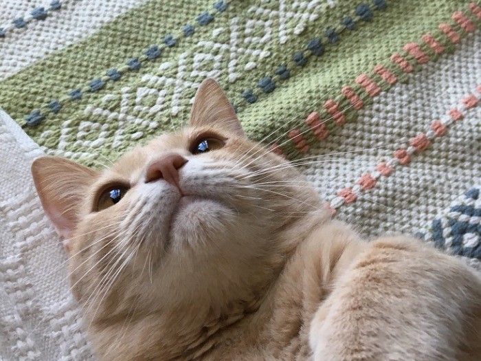 「お母さん～」とおねだり顔