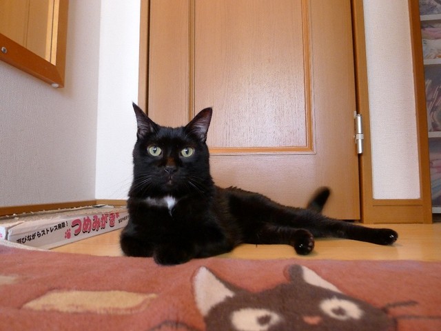 二人三脚で頑張った闘病中