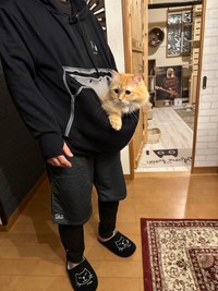 ネコハラ対策のために購入したというポケット付きパーカーだが・・・（提供写真）