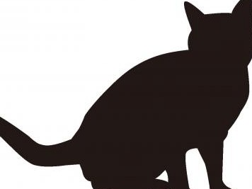 「被災ペット」１４匹を殺処分　熊本県が発表