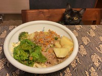 猫にカレーライスを食べさせてはいけません。