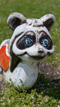 なんともいえない表情の狸