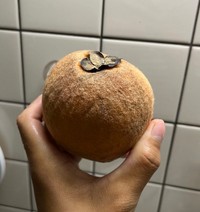 フィリピン原産で独特のいちご風味、バナナ風味があるケガキ（さとかつさん提供）