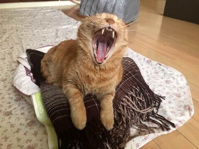 「はあぁぁ～」