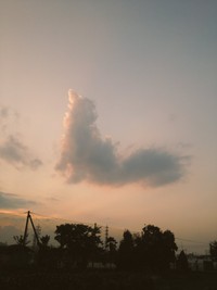 この雲、どんなふうに見えますか？※やわいさん提供