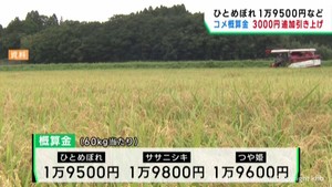 米の概算金　宮城県産米３品種で３０００円追加引き上げ