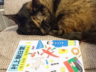 「あたり猫とスカ猫」の違いは？　村上春樹さんのエッセイ