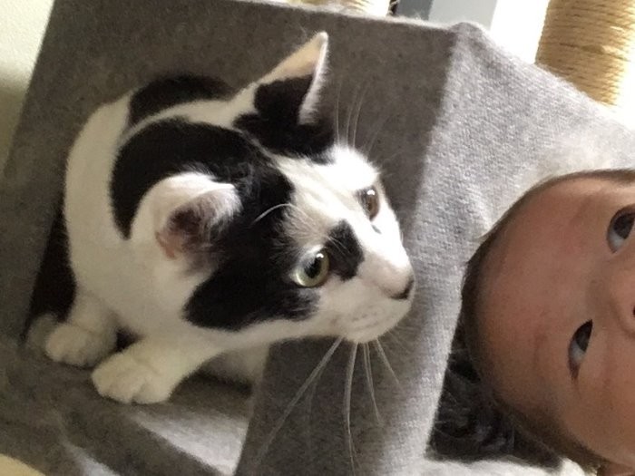 ５月に生まれた長男とそっと会わせると興味津々だった