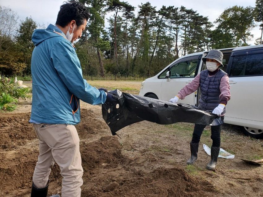 マルチを張る様子