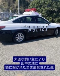 鎖に繋がれたまま遺棄された疑いがあるという（meguさん提供、Instagramよりキャプチャ撮影）
