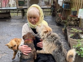 ポーランド人女性が懸命に保護　動物パスポートがウクライナの犬猫の命をつないだ　