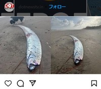 「DOTnewstv」のインスタグラム＠dotnewstv.inより