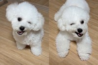 まるでウインクしているような表情に「ビートたけしさんみたい！？」病院の診断は「ただの癖」（あぽちぃさん提供）