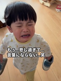 声も出ないくらいに悲しい…！（提供：＠shotan.522さん）
