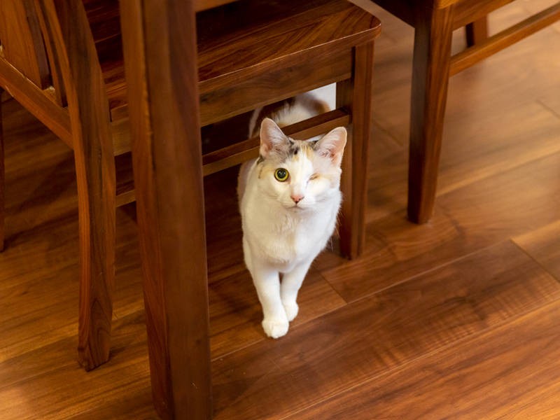 優しい顔を見せてくれました