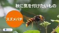 提供：ウェザーニューズ