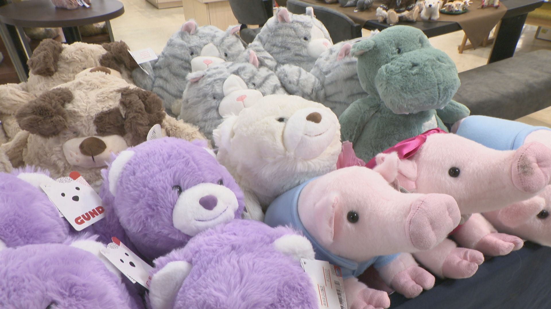 世界中のテディベアを集めた展示販売会 愛らしい作品が約200体 岡山髙