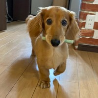 まだまだ元気だよ〜＝shakyamunico0408さん提供