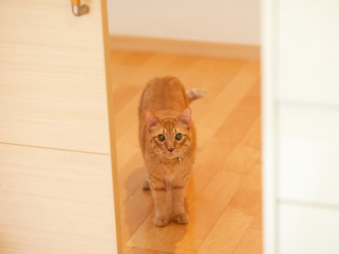 「お帰りじゃなくて、お手洗いですか」（小林写函撮影）