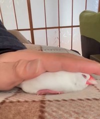 身を委ねる姿はまるで、こねられているパンのよう…（提供：笹さん）