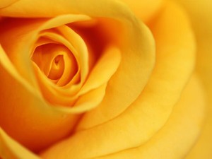 ヒエラルキーの底辺である研修医は「地味髪であるべきだ」という空気があった