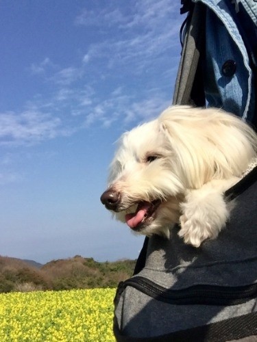 にじ色の以前の愛称は「にじり」。似た響きで「これからは、虹を見た時のようなときめく人生になるように」と命名。淡路島で綺麗な景色を見てときめいてるね！