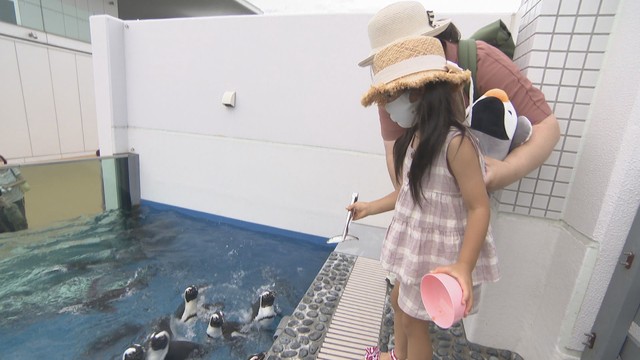 ペンギンを間近で観察！四国水族館のえさやり体験　1日10組限定　香川・宇多津町