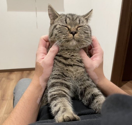 まん丸なお顔も愛くるしい